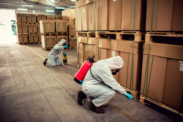 Best Exterminator Services  in Visalia, CA