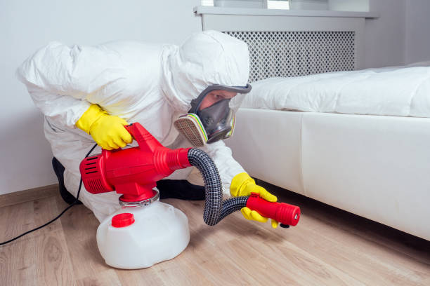 Reliable Visalia, CA Pest Control Solutions