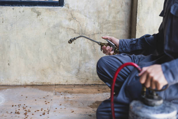 Best Pest Control Treatment  in Visalia, CA