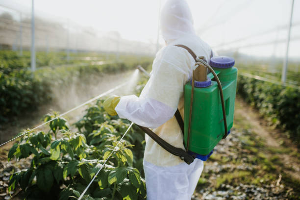 Best Insect Control  in Visalia, CA